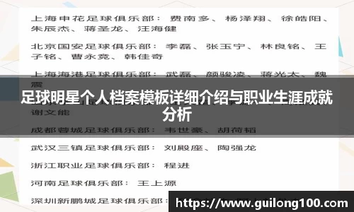 足球明星个人档案模板详细介绍与职业生涯成就分析